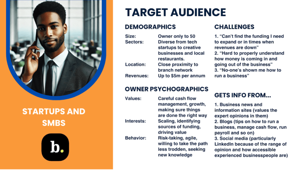 Startups and SMBs target audience
